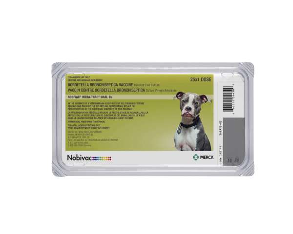 Nobivac Canine Intra Trac ORAL Vaccine (Bordetella) Merck