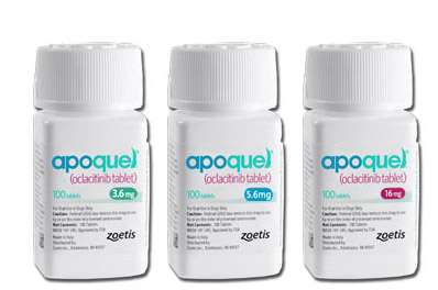 apoquel 6 mg