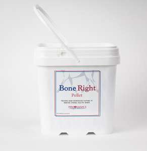 BoneRight