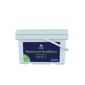 Hestevard BozMerix