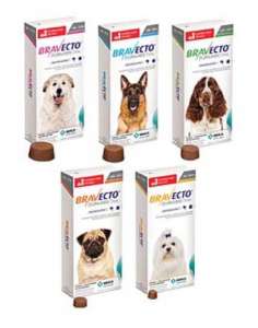 Bravecto Canine (Blue) Single Dose