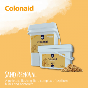 Hestevard Colonaid