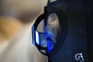 Equilume Belfield Light Mask