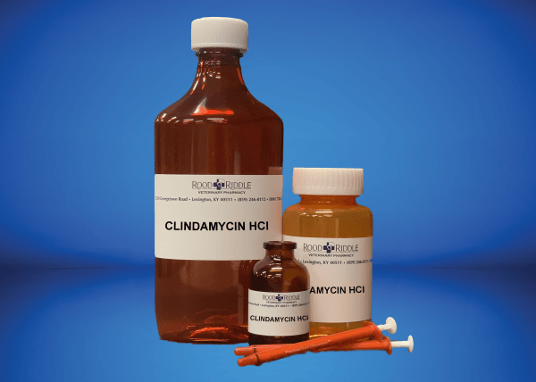 Clindamycin HCl
