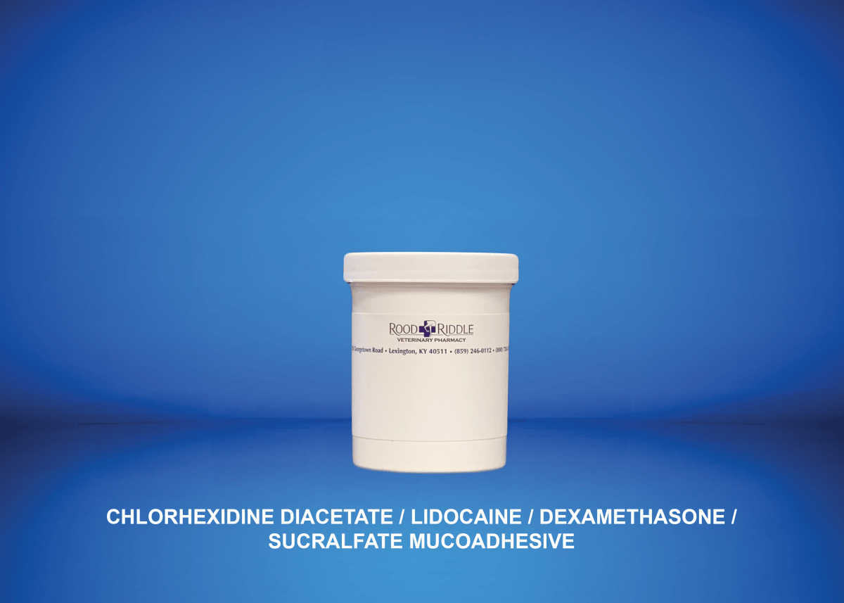 Chlorhexidine Diacetate/Lidocaine/Dexamethasone/Sucralfate Mucoadhesive