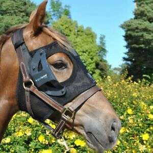 Equilume Cashel Light Mask Rechargeable