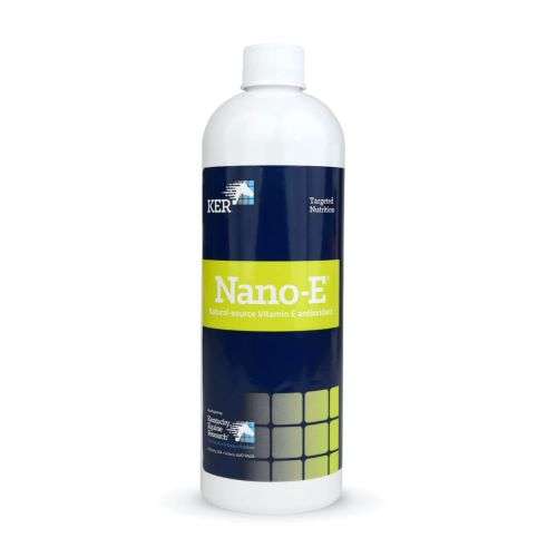 Nano-E Natural Vitamin E Liquid