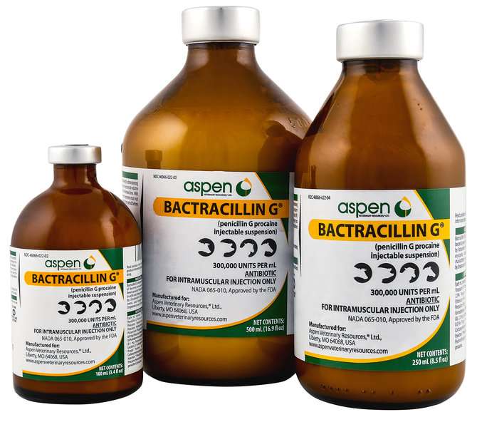 Penicillin G Procaine (PPG)
