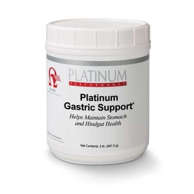 Platinum Gastric Support