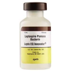 Lepto EQ Innovator Vaccine (Leptospirosis) Zoetis