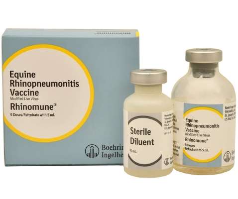 Rhinomune Vaccine (Rhino-modified live) BI