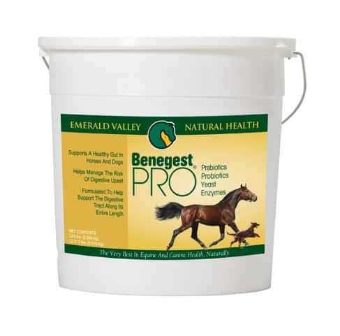 Benegest Pro Digestion Supplement