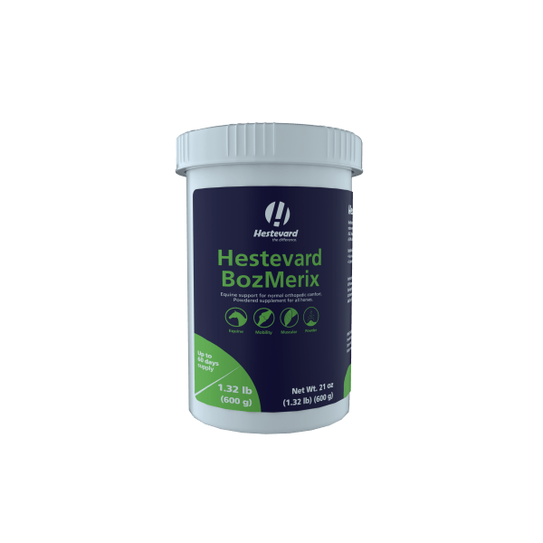 Hestevard BozMerix