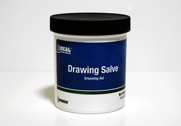 Drawing Salve