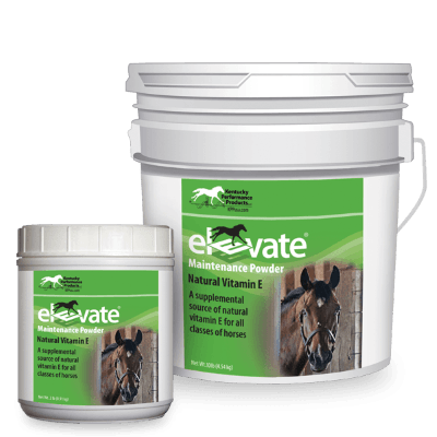 Elevate Maintenance (Vitamin E)