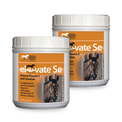 Elevate SE Maintenance (Vitamin E + Selenium)