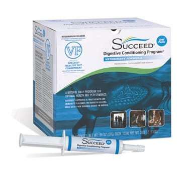 Succeed Vet Formula Digestive Paste