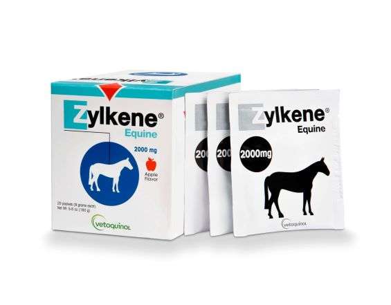 Zylkene Equine