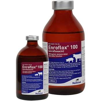 EnroFlox 100 (Enrofloxacin)