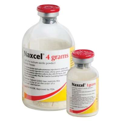 Naxcel (Ceftiofur Sodium)