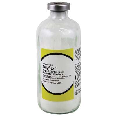 Polyflex (Ampicillin)