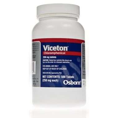 Viceton (Chloramphenicol)