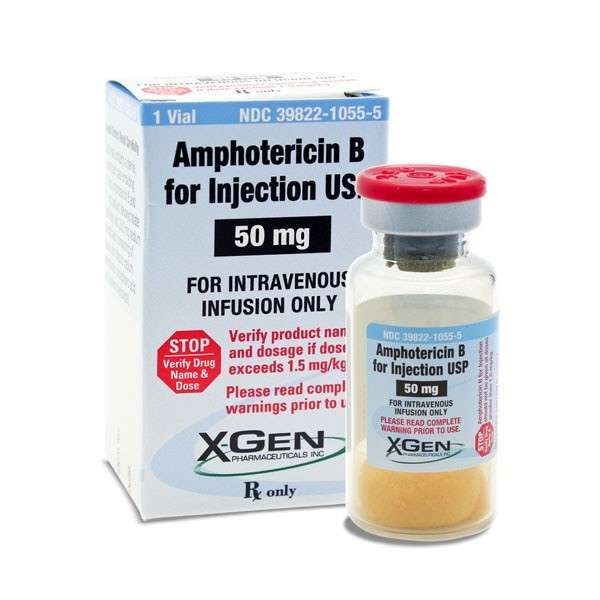 Amphotericin B