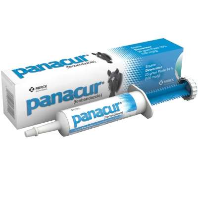 Panacur (Fenbendazole)