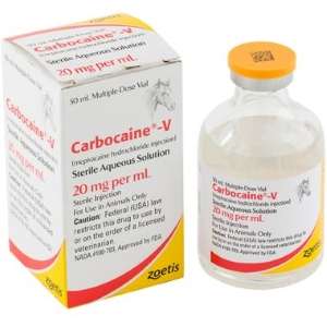 Carbocaine-V (Mepivicaine)