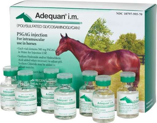 Adequan (Equine)