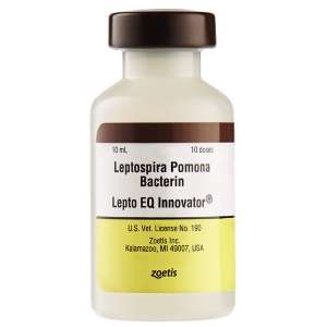 Lepto EQ Innovator Vaccine (Leptospirosis) Zoetis