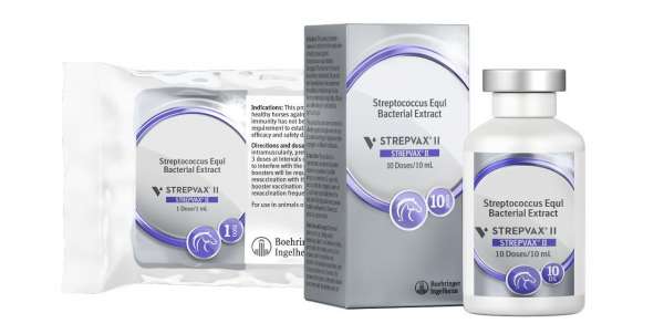 Strepvax II Vaccine (Strep. Equi) BI