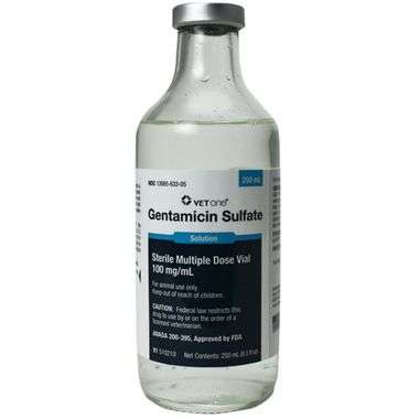 Gentamicin Sulfate (Vet One)
