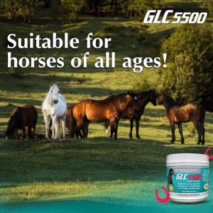 GLC 5500 Equine Formula