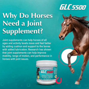 GLC 5500 Equine Formula