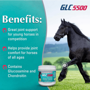 GLC 5500 Equine Formula