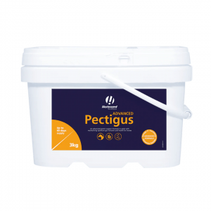 Hestevard Pectigus Advanced