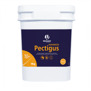 Hestevard Pectigus Advanced