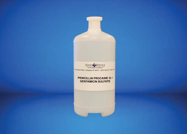 Penicillin Procaine G 240,000u/Gentamicin Sulfate 20mg/mL