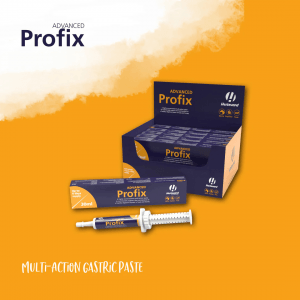 Hestevard Profix Advanced Paste