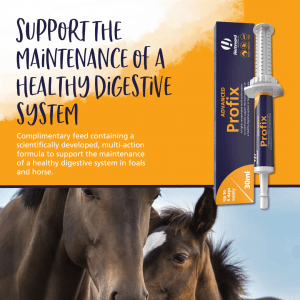 Hestevard Profix Advanced Paste