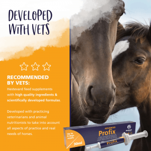 Hestevard Profix Advanced Paste