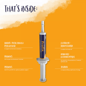 Hestevard Profix Advanced Paste