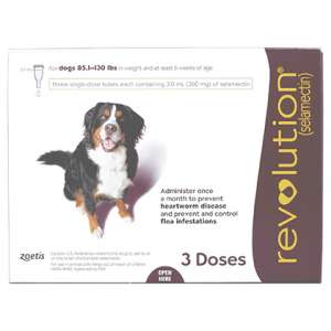 Revolution Canine (Purple 85-130 lbs)