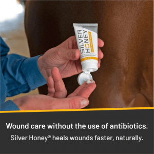 Silver Honey Rapid Wound Repair