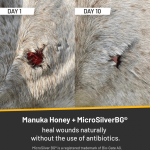 Silver Honey Rapid Wound Repair
