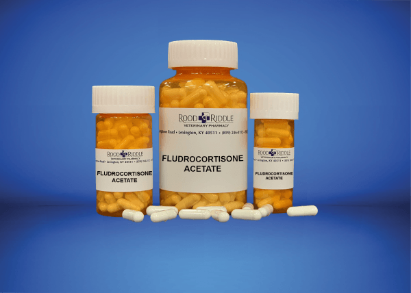 Fludrocortisone Acetate