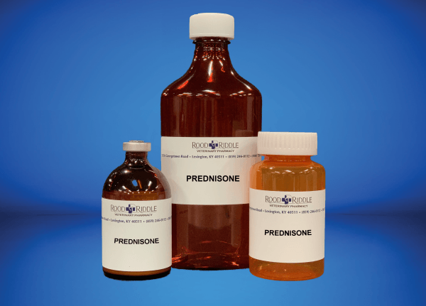 Prednisone