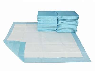 Underpad 17" x 24" (Blue)