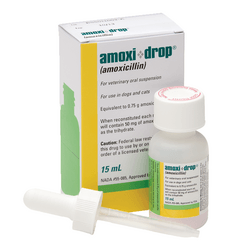 Amoxi-Drop (Amoxicillin)
